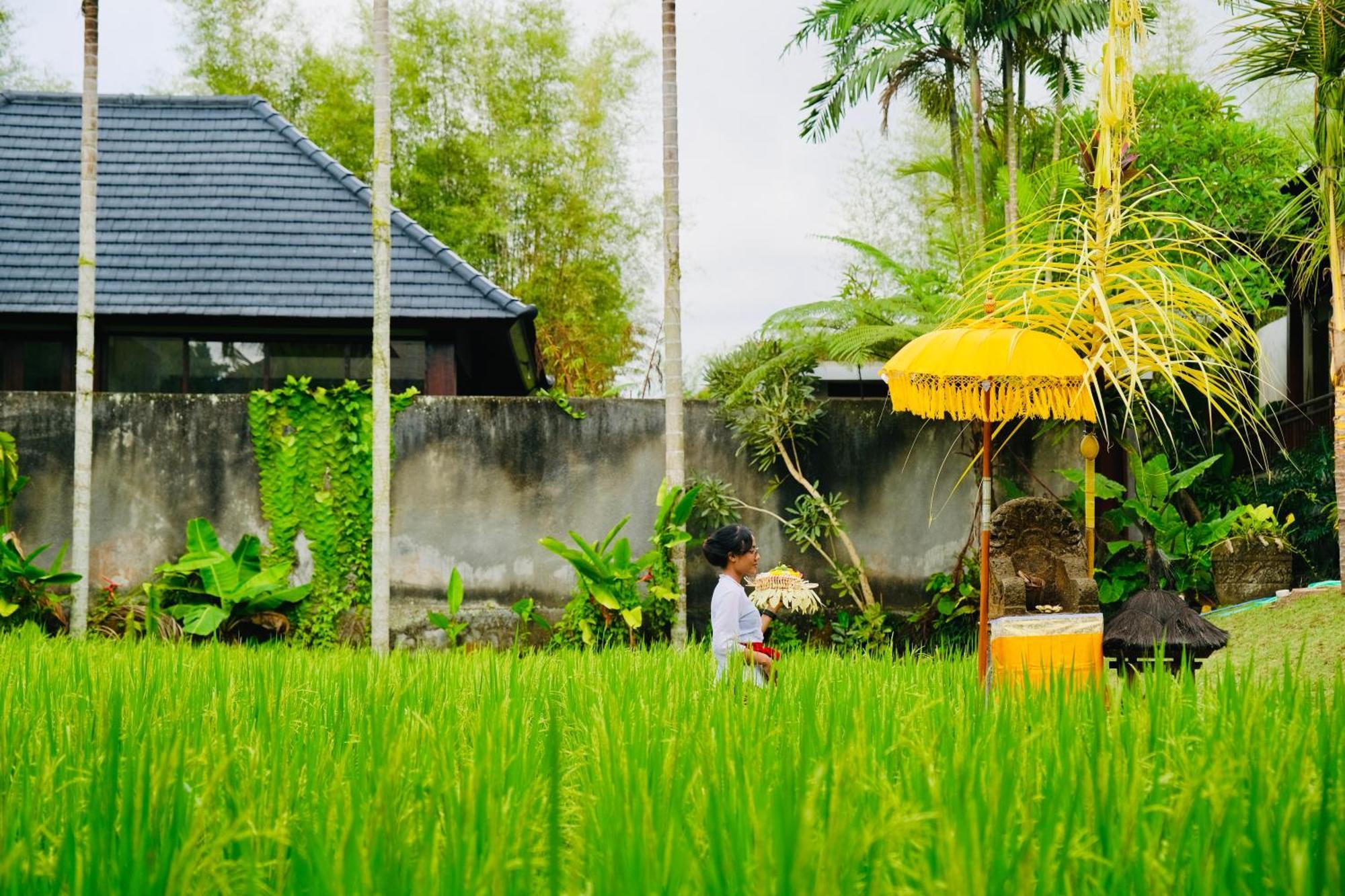 Wana Karsa The Villas Ubud Luaran gambar